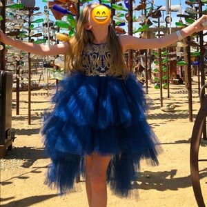 Petite Adele Abella Dress in Royal Blue